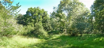 Baurdetxoaren xenda, iparraldeako lepoan