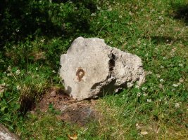 Tako geodesikoa lurretik ateratakoa