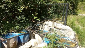 Zapiturri iturria Zarandona erreka ondoan