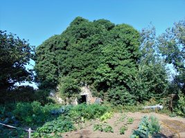 San Joakin eta Santa Ana Eliza Goiainen