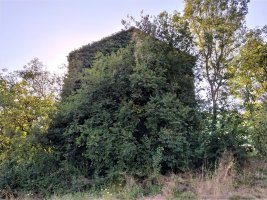 San Joakin eta Santa Ana Eliza Goiainen