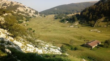 Degurixa, zelaia eta bordak