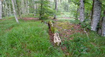 Arkatxuko trikuharria