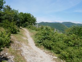 SL-NA-55 bidezidorra Garaioatik gora