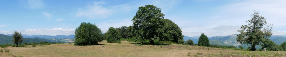 Iparraldeko bizkarreko panoramika
