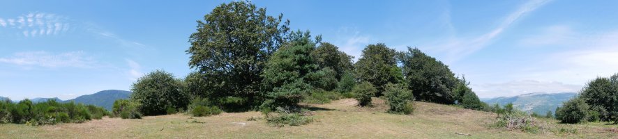 Txanagra tontorra hegoaldetik