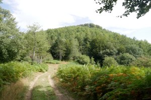 Arrizorrotz, Erramonen Bordako lepotik