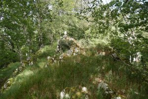 Arrizorrotz tontorra