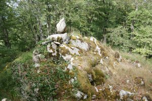 Arrizorrotz tontorra