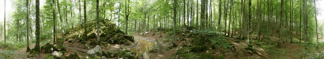 Arrizorrotz eta Alaketa arteko lepoko panoramika