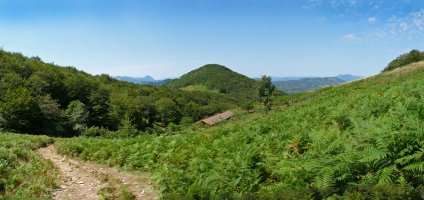 Arramia, Biuztaingo lepotik