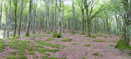 Pagadietan gora, biderik gabe