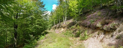 Txilarra, bideak  inbaditzen