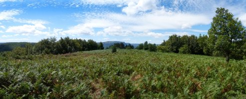 Gainaldea, udan, iratzeek hartuta