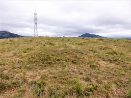 ALTZUSTABERRI V campo tumular