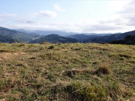 ALTZUSTABERRI V campo tumular