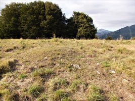 ALTZUSTABERRI V campo tumular