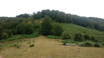 Azalegi (1164m) Arratzola aldetiko igoeran