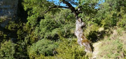 Bidexka, Zategiko sakanean gora