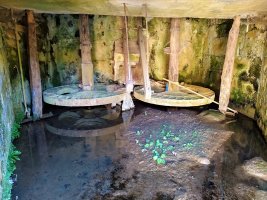 Errota Uribarri-Jauregin