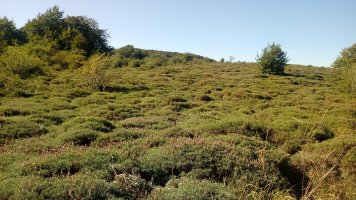 Harri Eder Gaina (1175m) gaina otez josita