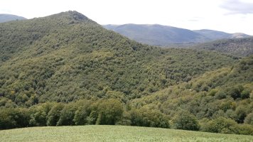 Mozolo (1243m) Mendizar aldetik