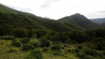 Mozolo (1243m) Orion aldetik