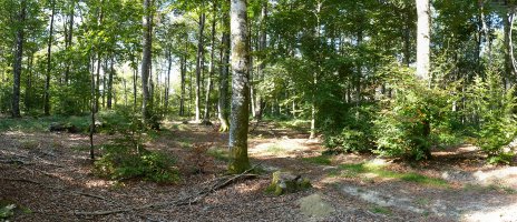 Mugarriautsiko gailurra