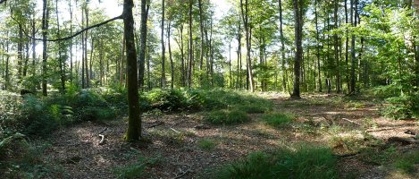 Mugarriautsiko gailurra