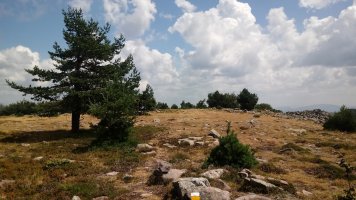 Baigura (1474m) tontorreko zelaigunea