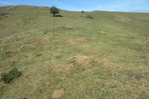 Cromlech Arluxe  (Agosto 2020)