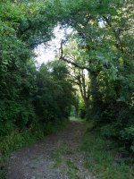 Jaurrietatik Andra Mari Zuriaren ermitara igotzen den bidea