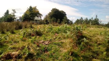 Trona (1213m) tontorra