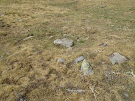 ansotiello trikuharria