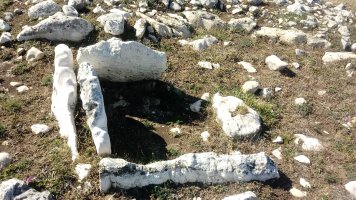 Arrizazen zista (2020)