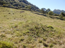 LARRONDO campo tumular