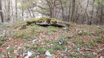 Ziñeko Gurutze trikuharria