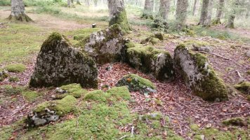 Zubarrieta trikuharria