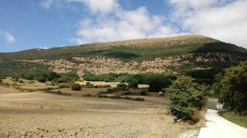 Txurregi (1125m), Ollo herritik ikusita