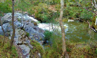 Zaldibartxo Ur Jauzia