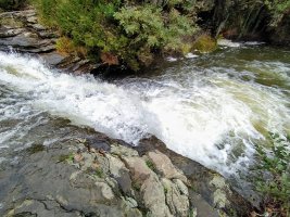 Zaldibartxo Ur Jauzia