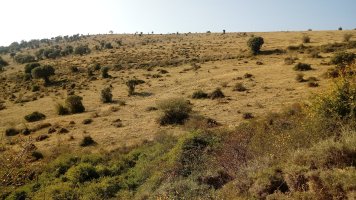 Txargain (972m) iparreko magala