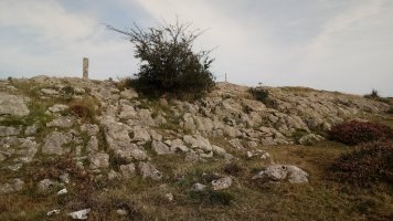 Arralde (945m) tontorra