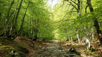 San Adriango galtzada pagadian barrena
