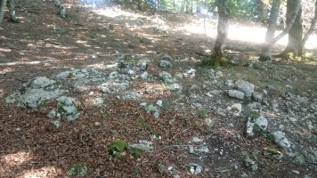 Txumartegi trikuharria (2019)