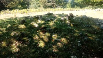 Lezana arrasoa trikuharria (2019)