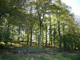 Arlamendiko mintegia