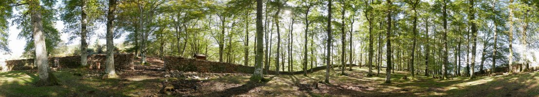 Arlamendiko mintegia