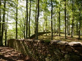 Arlamendiko mintegia