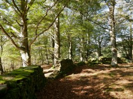 Arlamendiko mintegia